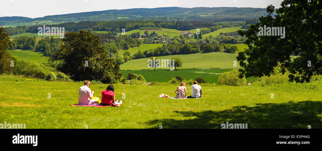 Fort Hill, North Downs, collines du Surrey, Surrey, Angleterre, Royaume-Uni, Europe Banque D'Images