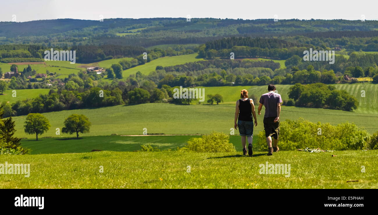 Fort Hill, North Downs, collines du Surrey, Surrey, Angleterre, Royaume-Uni, Europe Banque D'Images