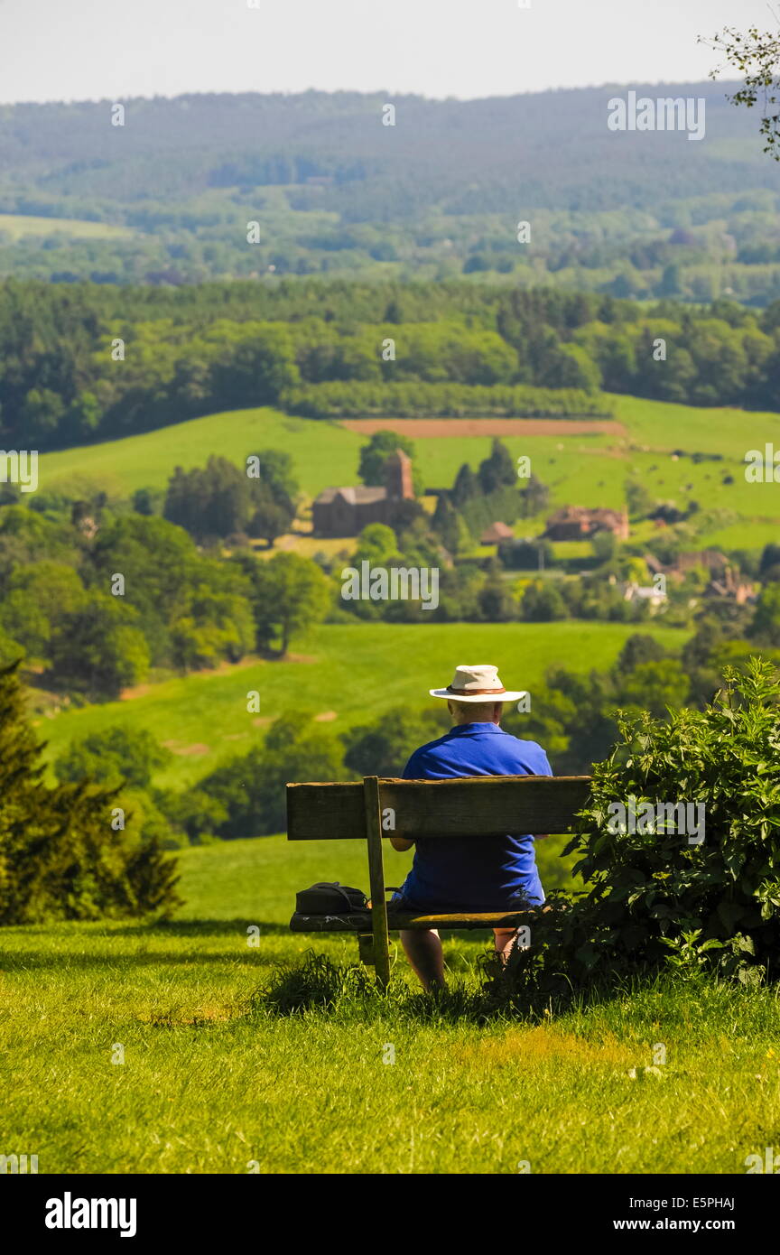 Fort Hill, North Downs, collines du Surrey, Surrey, Angleterre, Royaume-Uni, Europe Banque D'Images