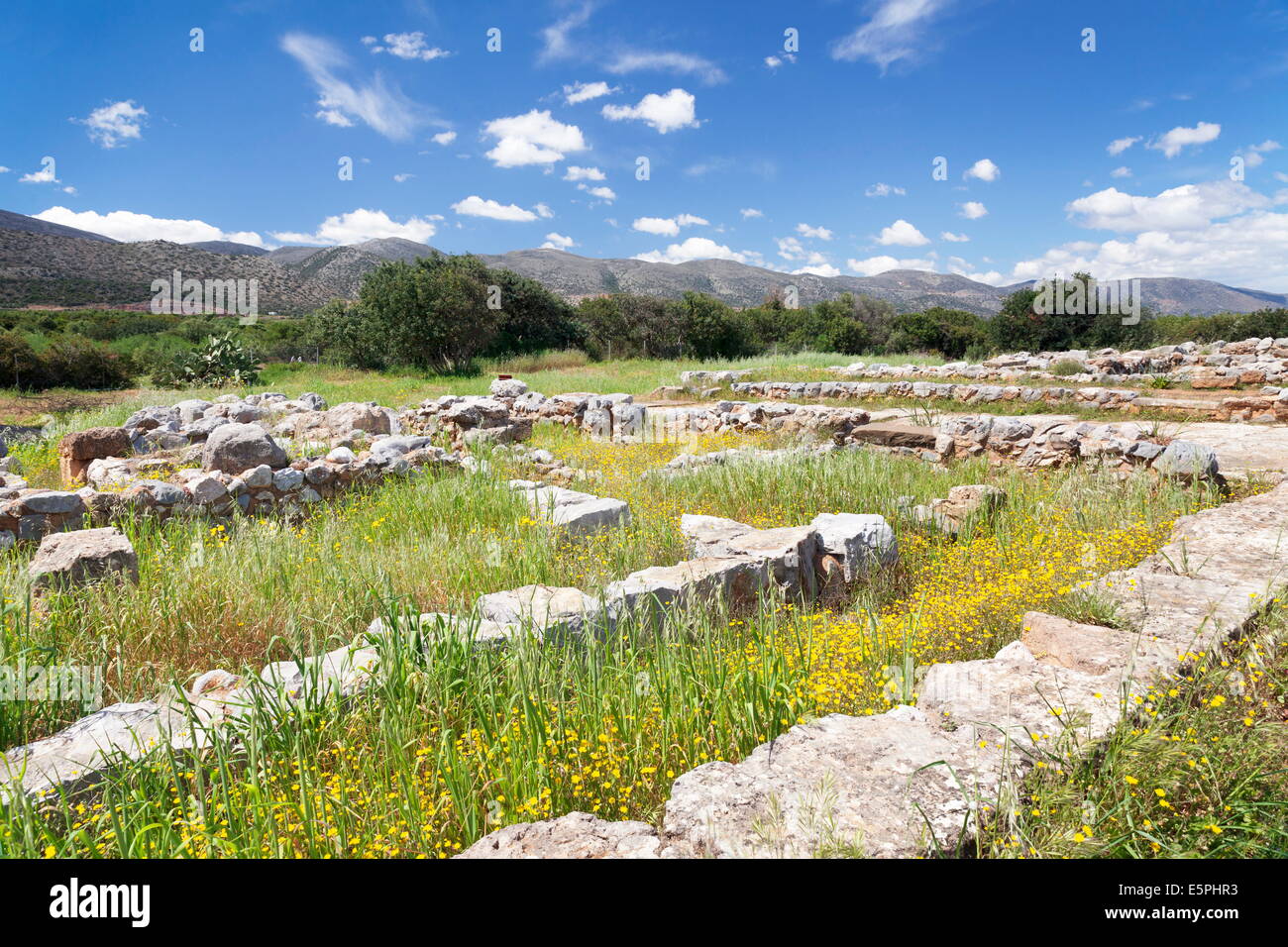 Minoian Palace, d'excavation, Malia, Héraklion, Crète, l'île de Crète, Grèce Banque D'Images