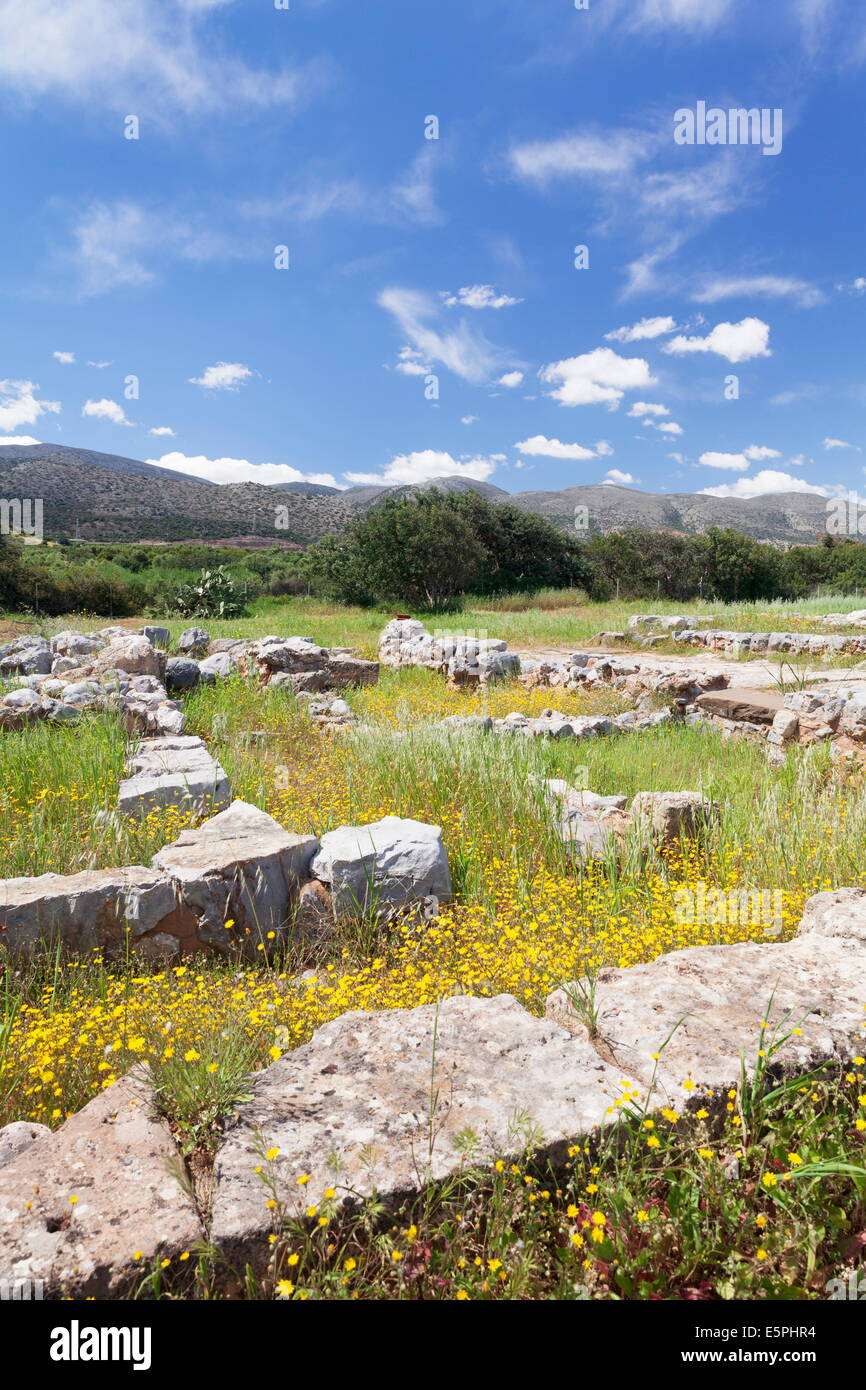 Minoian Palace, d'excavation, Malia, Héraklion, Crète, l'île de Crète, Grèce Banque D'Images