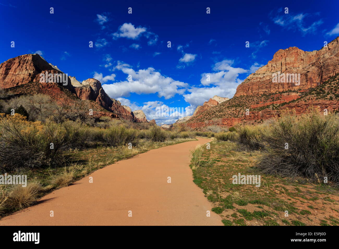 Pa'rus sentier serpente à travers Zion Canyon en hiver, Zion National Park, Utah, États-Unis d'Amérique, Amérique du Nord Banque D'Images