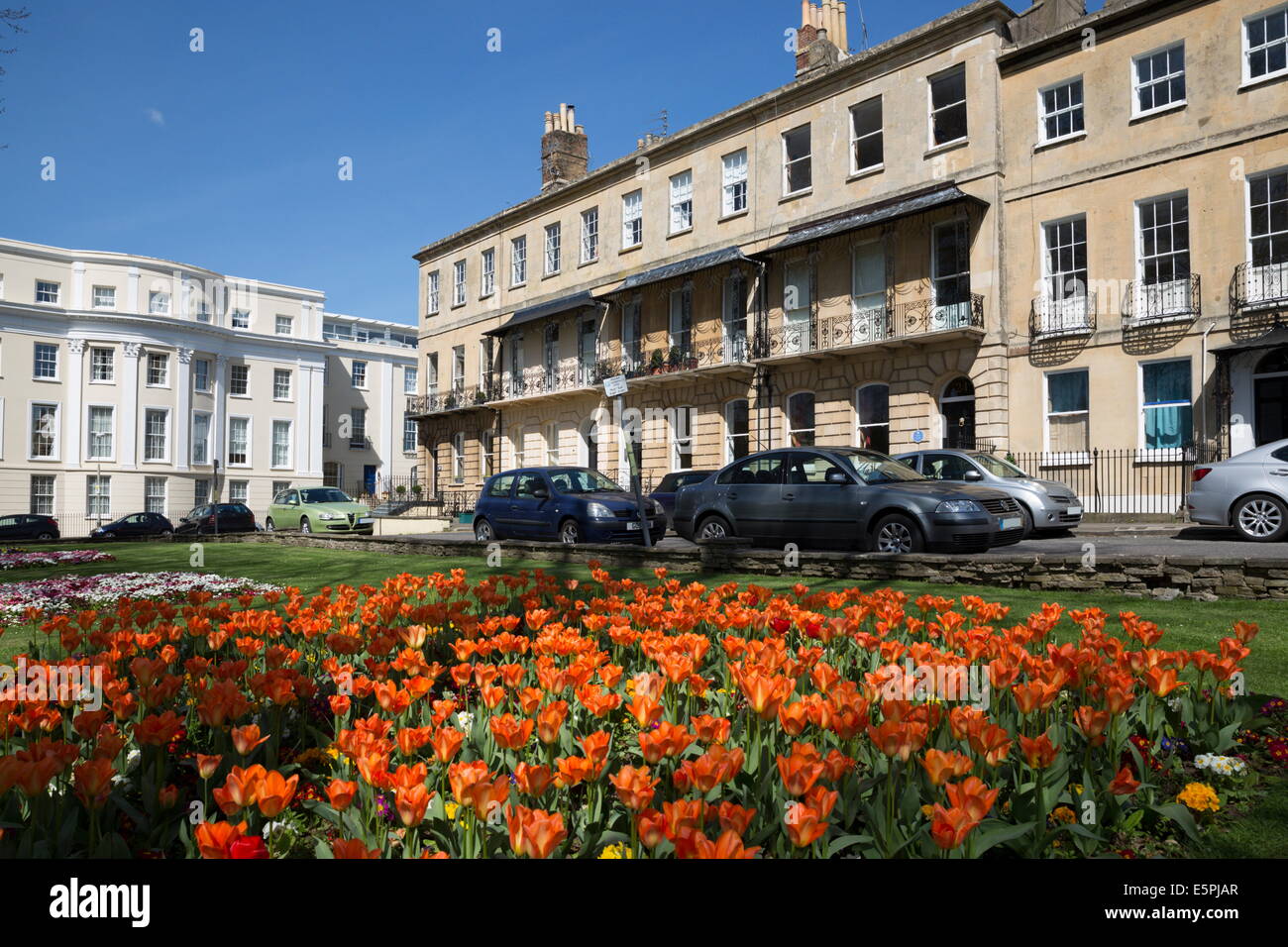 Prieuré de maisons de style Régence, Parade de printemps avec des tulipes, Cheltenham, Gloucestershire, Angleterre, Royaume-Uni, Europe Banque D'Images