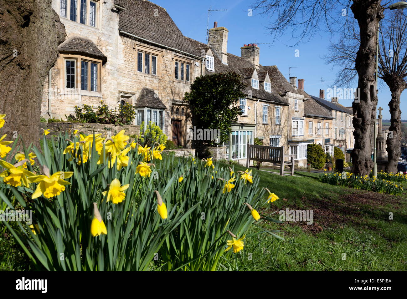 Cotswold chalets le long de la colline avec le printemps, les jonquilles, Burford Cotswolds, Oxfordshire, Angleterre, Royaume-Uni, Europe Banque D'Images