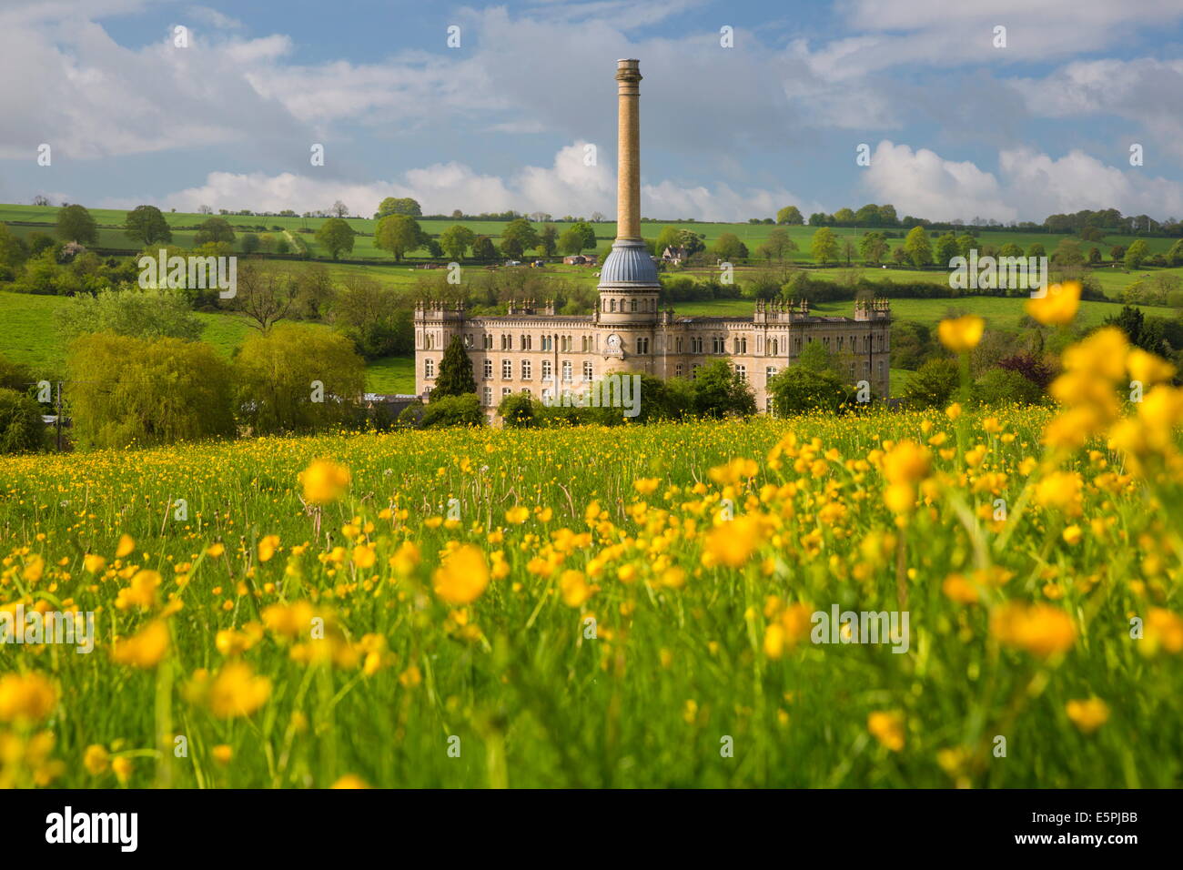 Bliss Moulin avec renoncules, Cotswolds, Chipping Norton, Oxfordshire, Angleterre, Royaume-Uni, Europe Banque D'Images