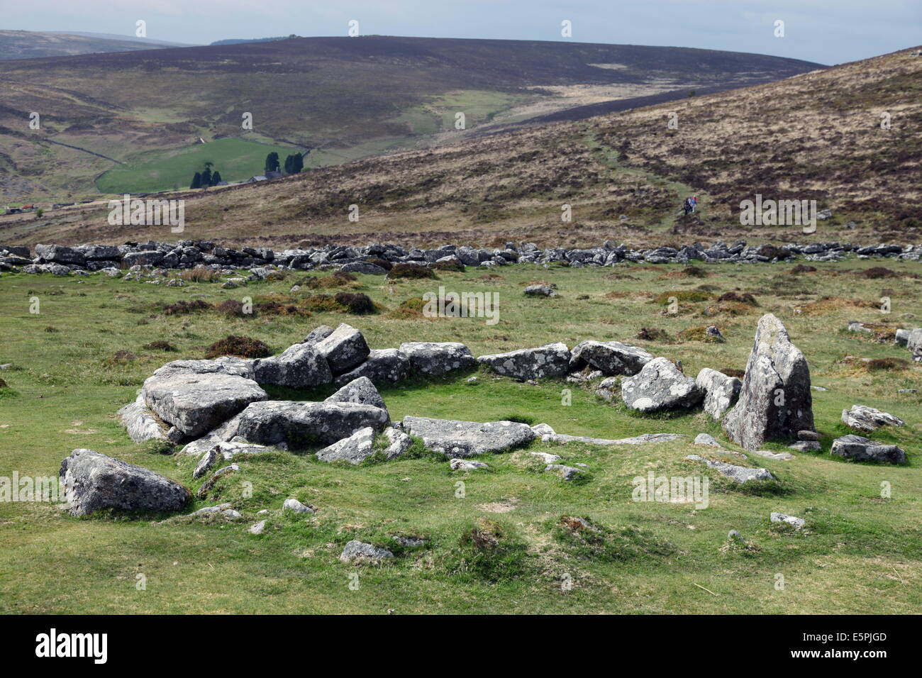 Ruines de la maison début de l'âge du Bronze, environ 3500 ans, Grimspound, Dartmoor National Park, Devon, Angleterre, Royaume-Uni Banque D'Images