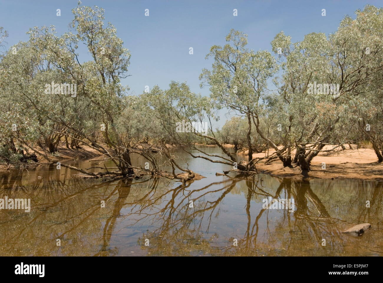 Point d'eau à côté du Billabong Gibb River Road à travers le Kimberley, Western Australia, Australie, Pacifique Banque D'Images