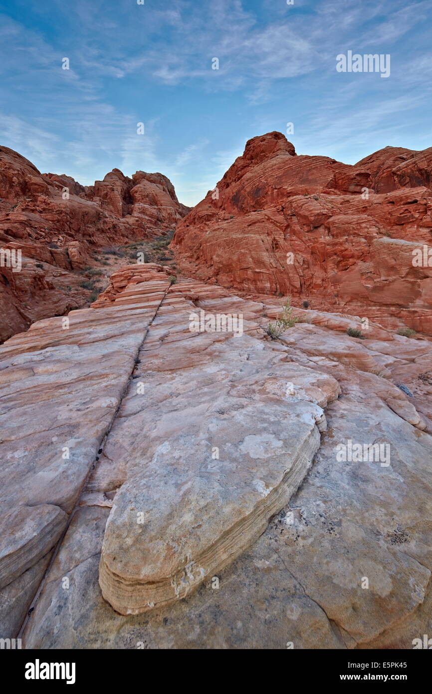 Collines de grès blanc et de saumon, Vallée de Feu Park, Nevada, États-Unis d'Amérique, Amérique du Nord Banque D'Images