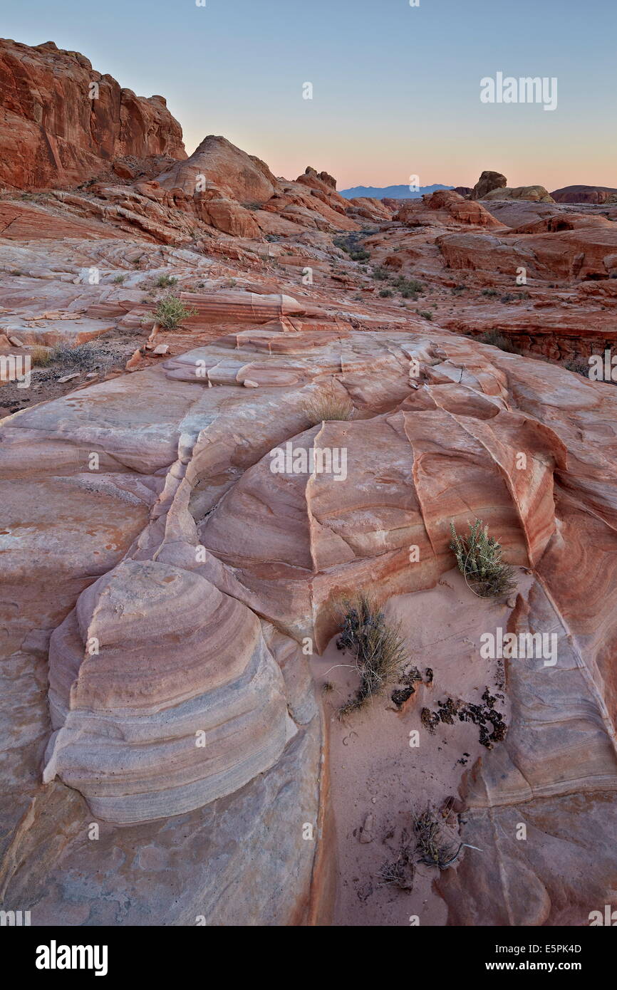 Les formations de grès à l'aube, la Vallée de Feu State Park, Nevada, États-Unis d'Amérique, Amérique du Nord Banque D'Images