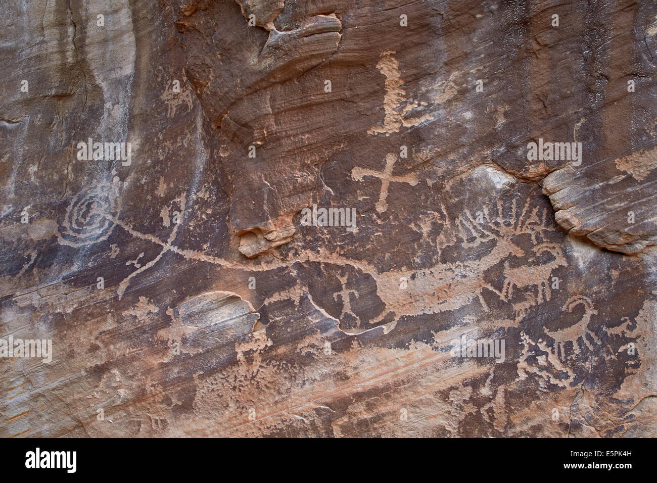 Une partie de la section Panneau de pétroglyphes de cirque montrant un wapiti ou cerf, Gold Butte, Nevada, États-Unis d'Amérique, Amérique du Nord Banque D'Images