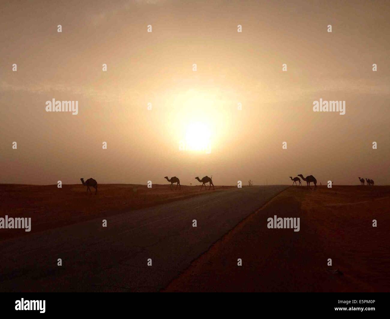 Boutilimit. 4e août, 2014. Photo prise le 4 août 2014 montre le coucher du soleil près de Boutilimit, la troisième plus grande ville de la Mauritanie. © Li Jing/Xinhua/Alamy Live News Banque D'Images