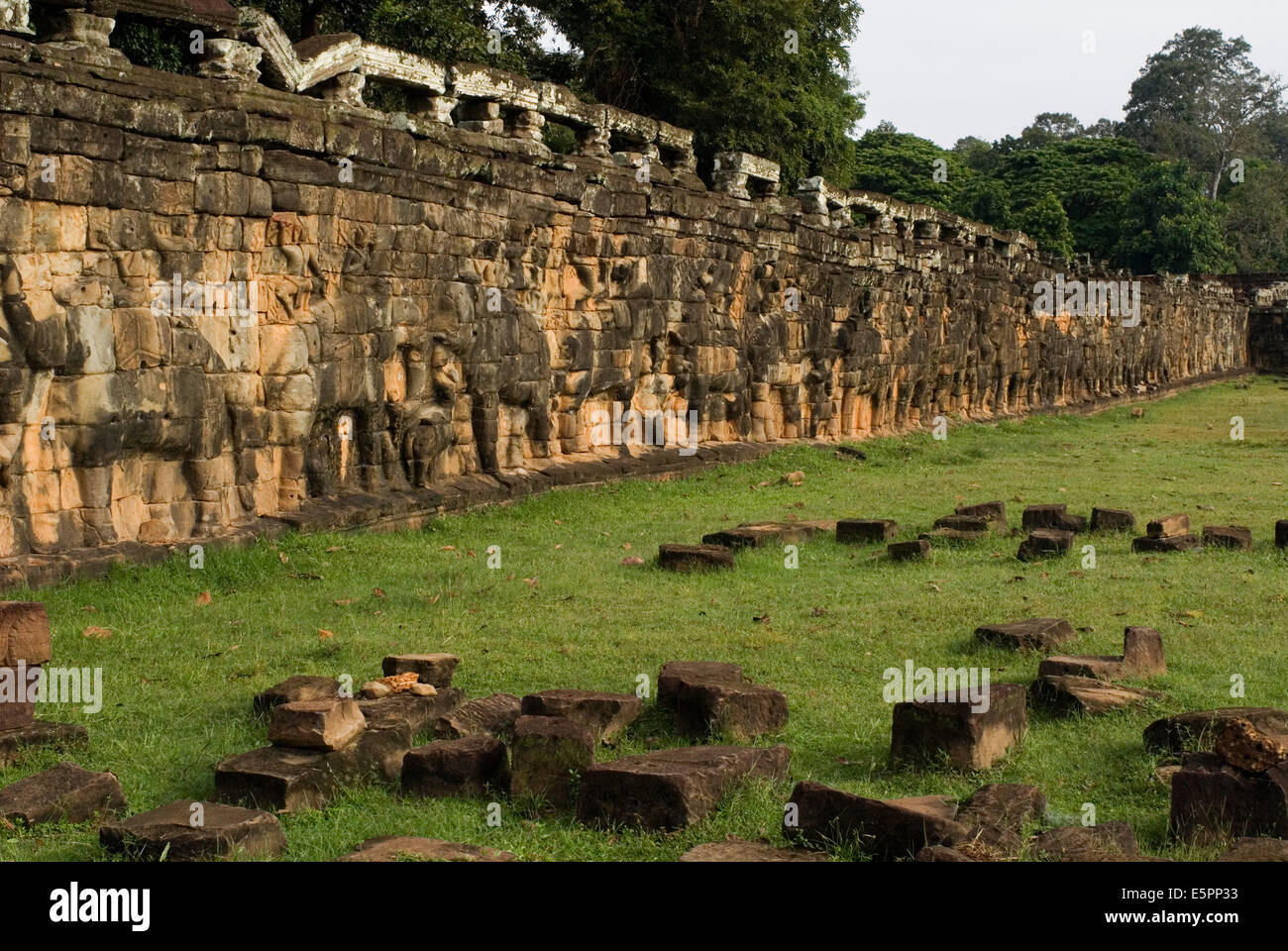 Le soulagement d'un terrasse des éléphants éléphants Angkor Siem Reap au Cambodge. Terrasse des éléphants, mur-reliefs, Angkor Thom, Siem Banque D'Images