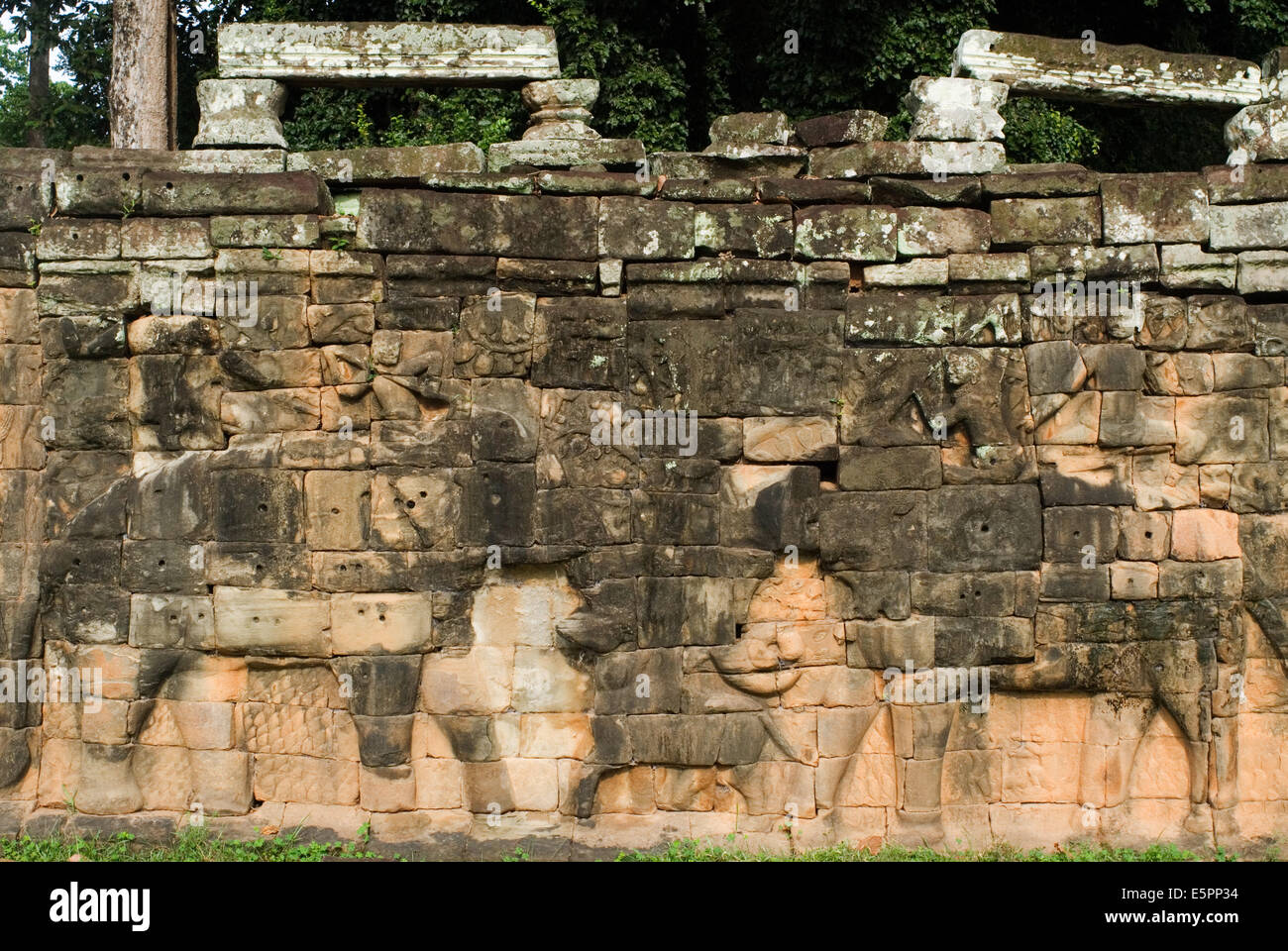 Le soulagement d'un terrasse des éléphants éléphants Angkor Siem Reap au Cambodge. Terrasse des éléphants, mur-reliefs, Angkor Thom, Siem Banque D'Images