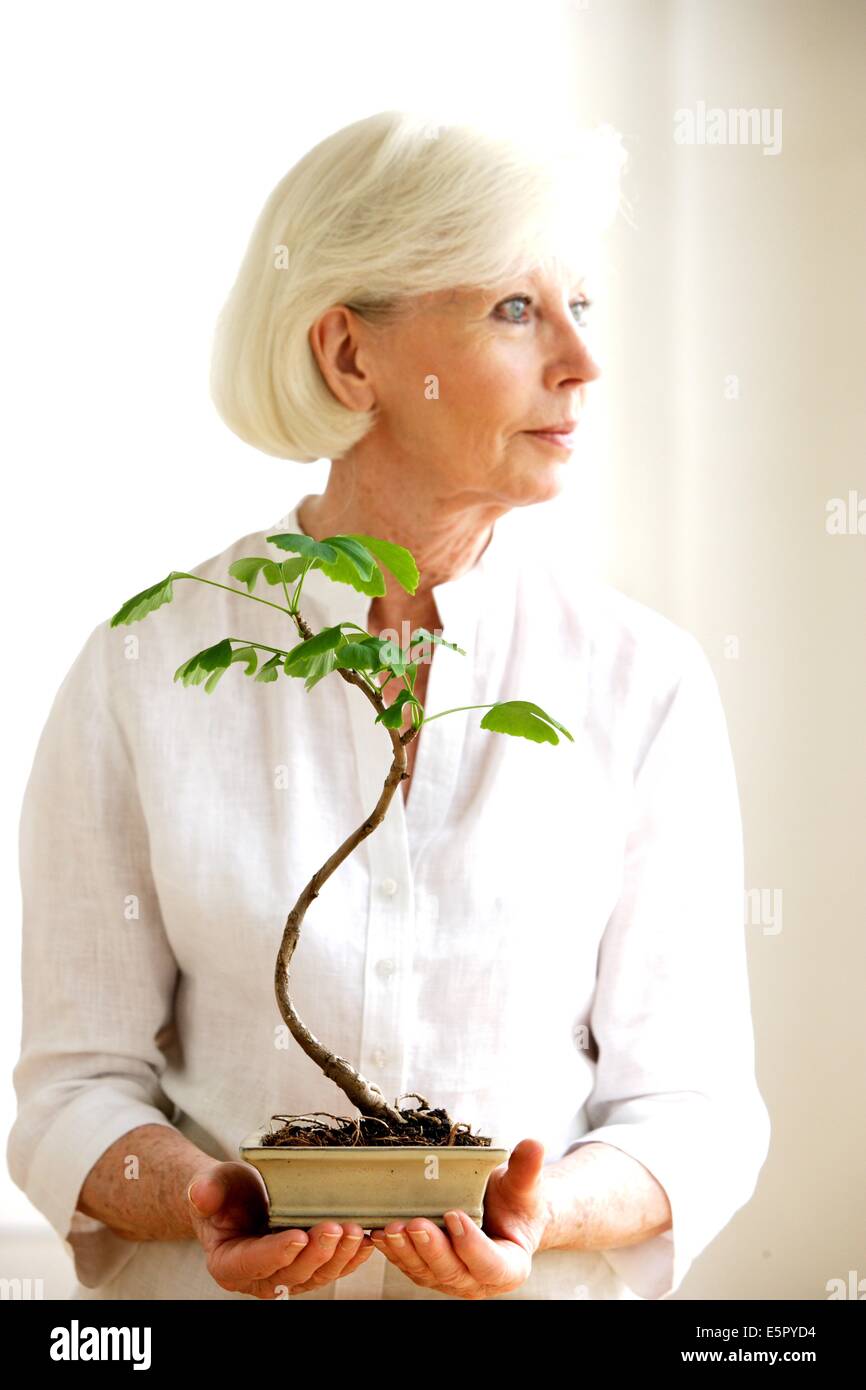 Femme avec Bonsai. Banque D'Images