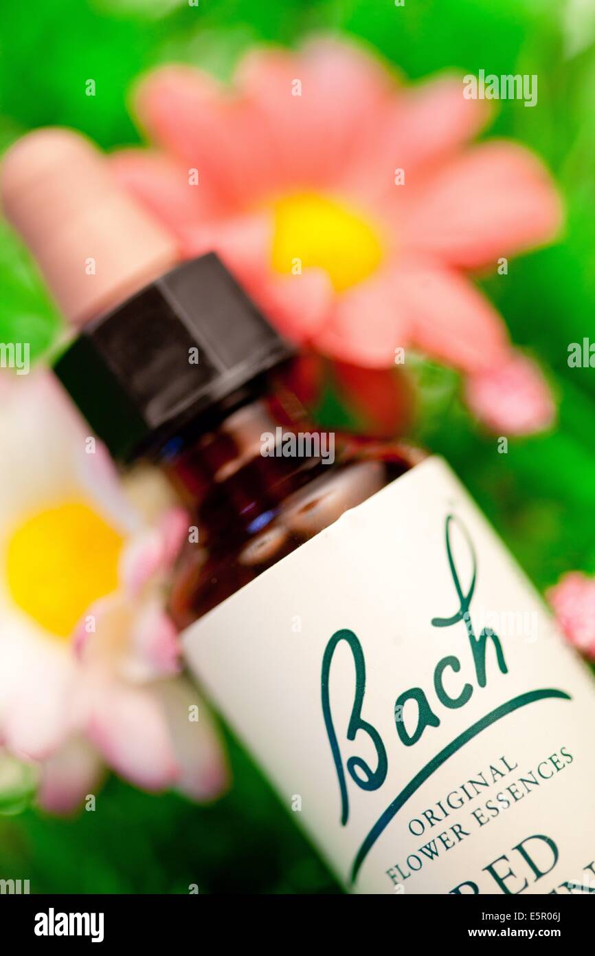 Remède de Fleurs de Bach. Banque D'Images