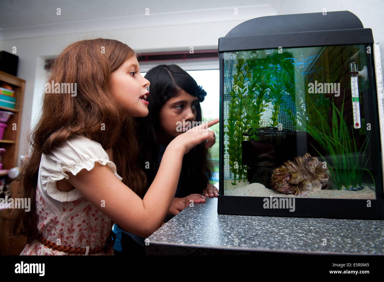 Les filles à la recherche de poissons en aquarium Banque D'Images