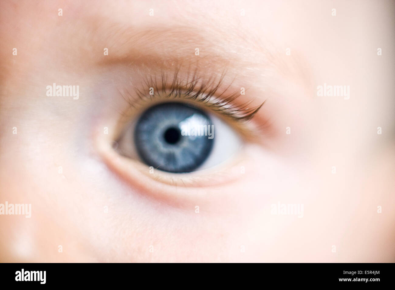 Portrait d'un bébé de 9 mois. Banque D'Images