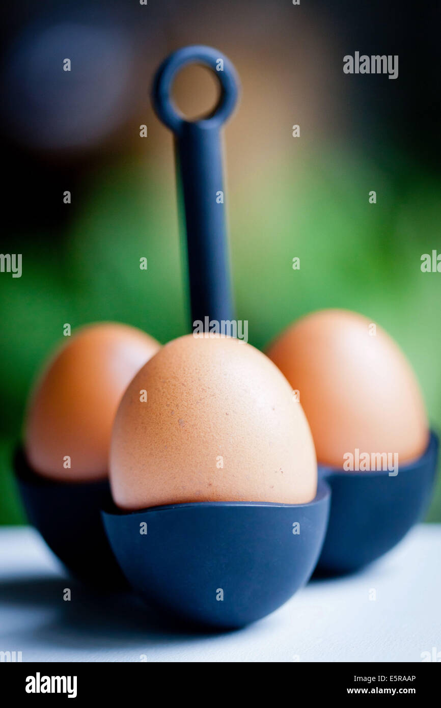 Œuf à la coque. Banque D'Images