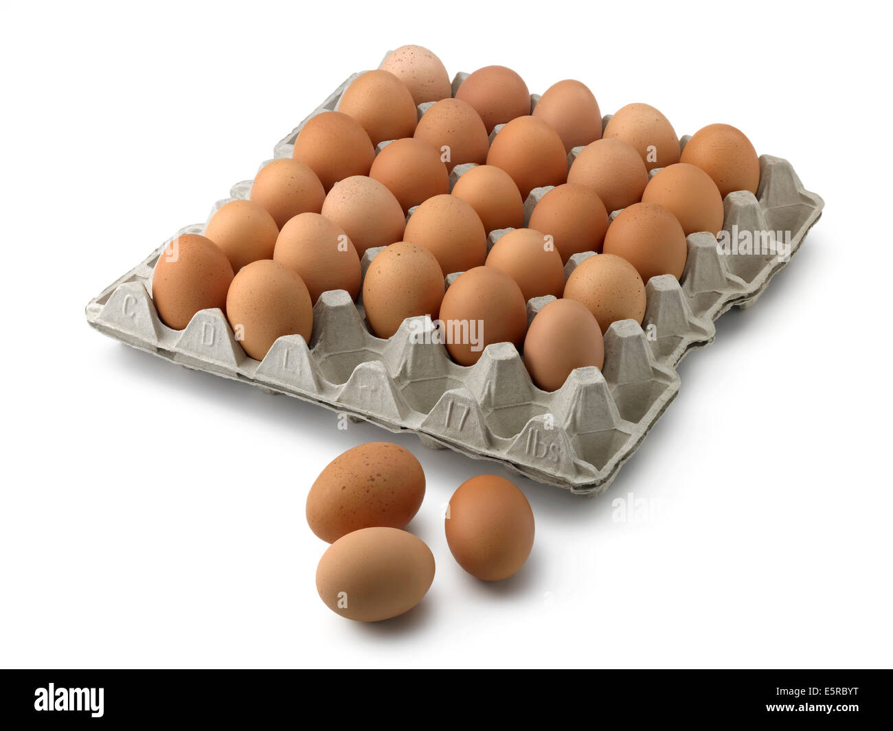 Oeufs dans le bac d'oeufs Banque D'Images