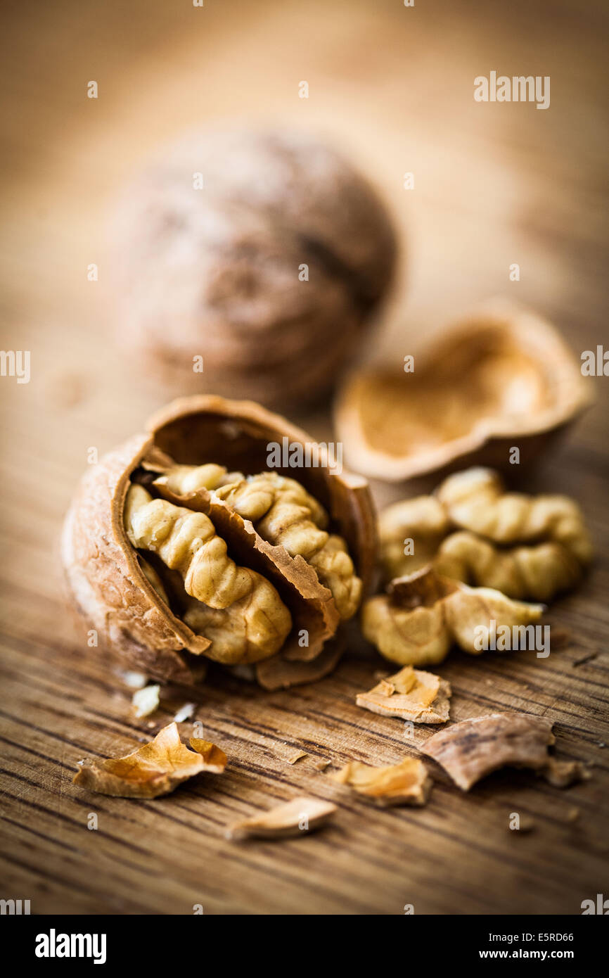 Noyer. Banque D'Images