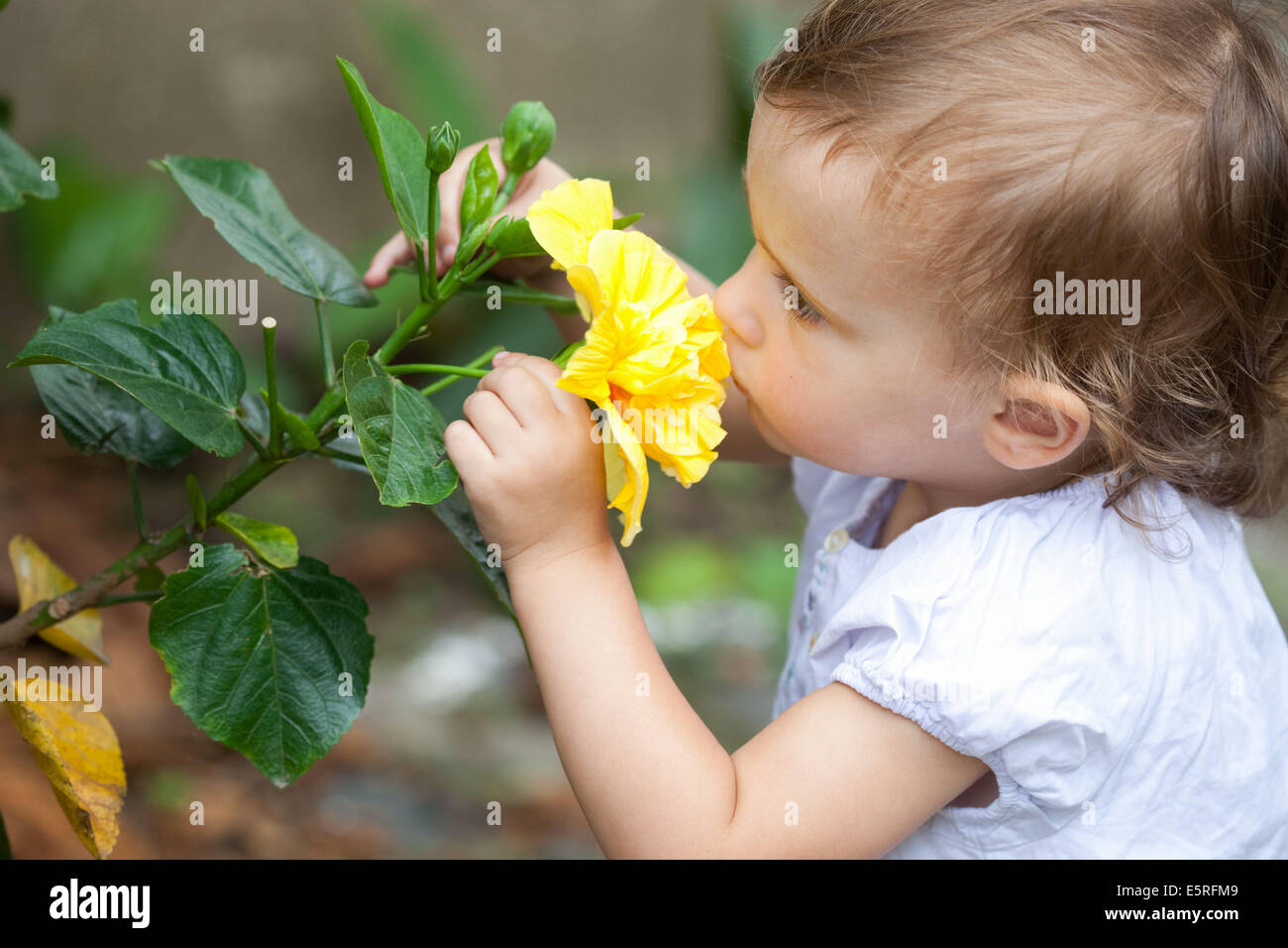 Bebe Fille De Mois Qui Sent Une Fleur Photo Stock Alamy