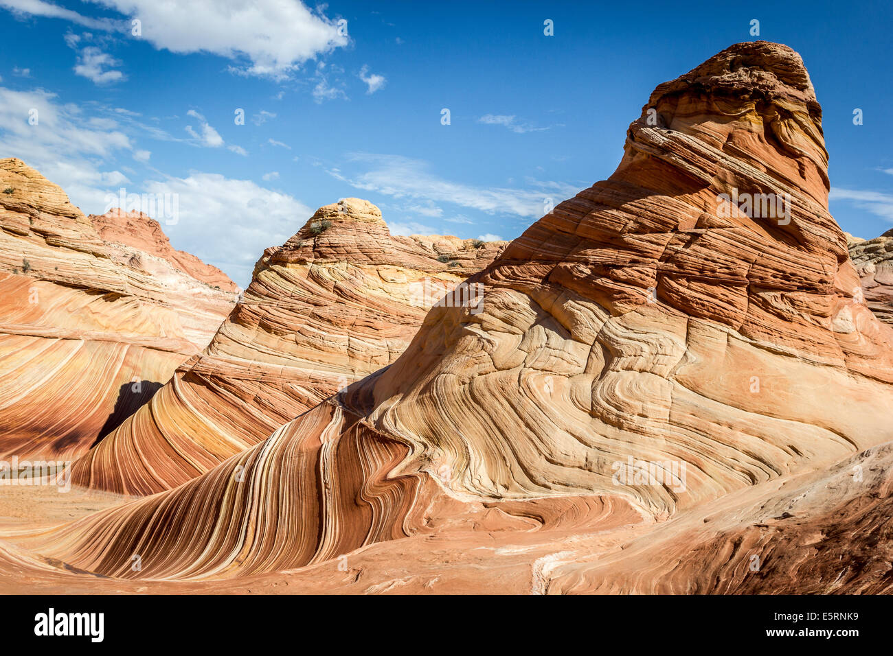 La vague, de l'Arizona. Formation rocheuse étonnante qui coule dans le désert rocailleux, Paria Canyon Vermillion Cliffs Wilderness Banque D'Images