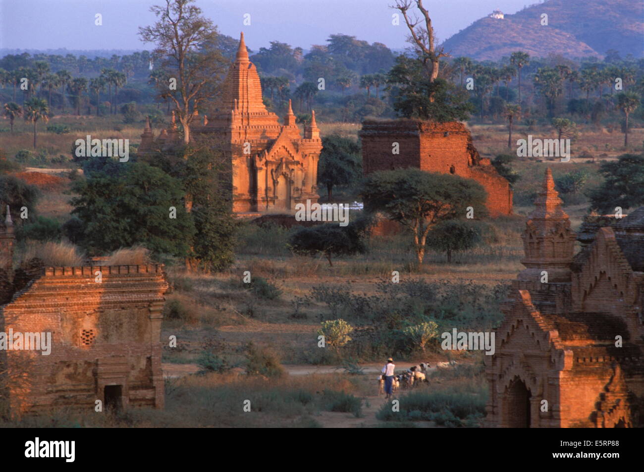 Tayok-pyi temple, Pagan, Birmanie. Banque D'Images