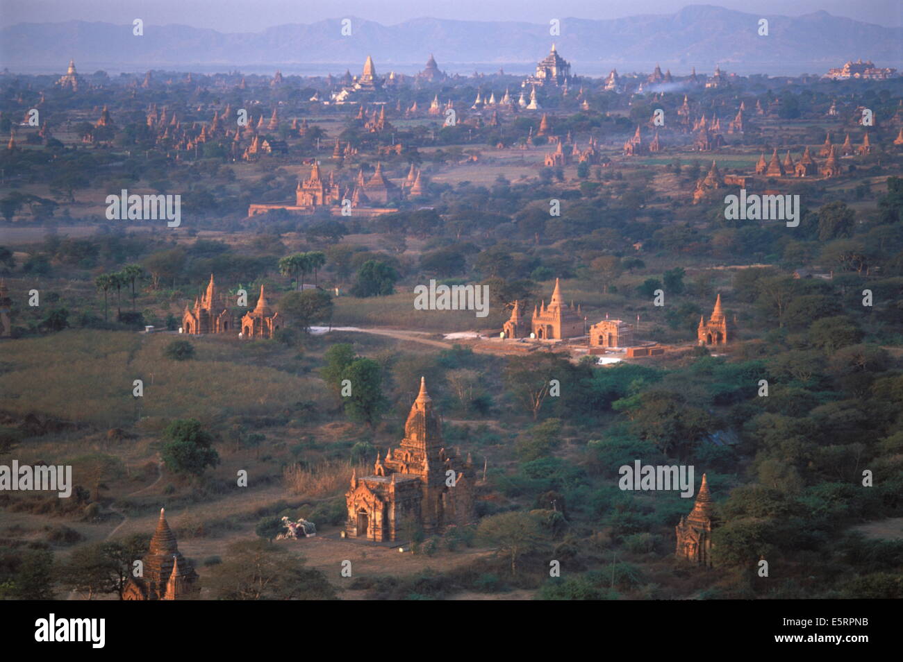 Plaines païenne, la Birmanie Banque D'Images