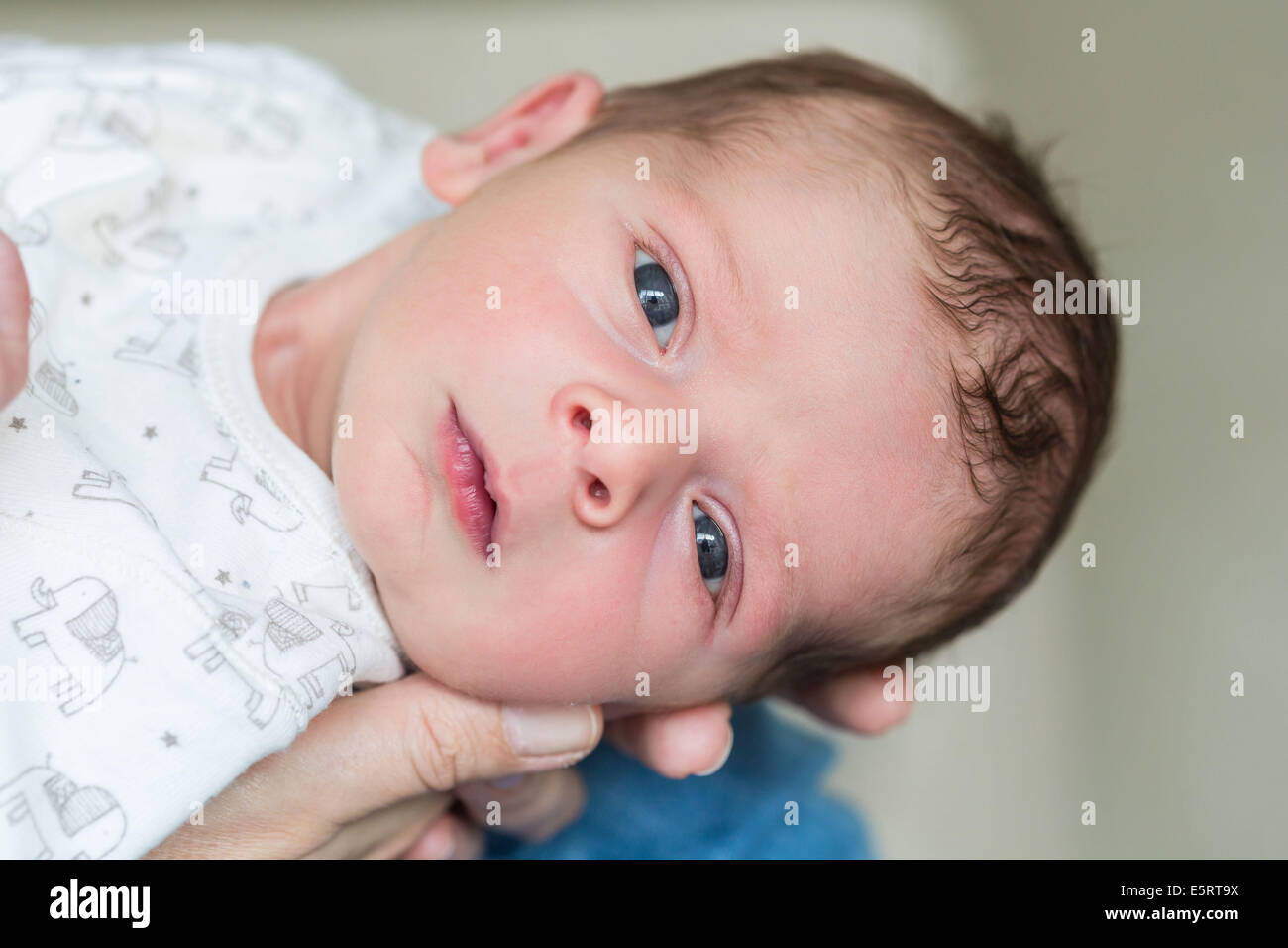 Deux Semaines De Bebe Garcon Photo Stock Alamy