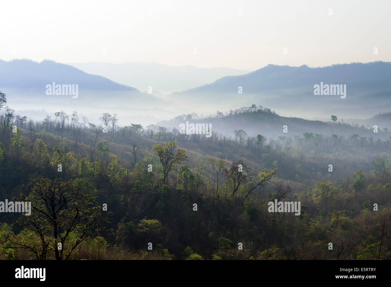 Hills Kanpetlet ci-dessous, l'État Chin, le Myanmar. Banque D'Images