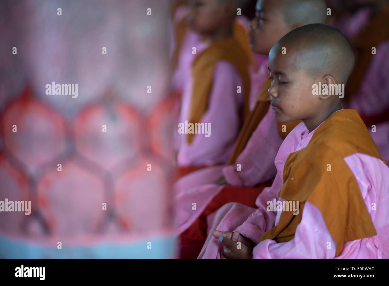 Moniales novices en méditation, classe Taungpulu Mindat, monastère, l'État Chin, le Myanmar. Abbott : U Pyinnya Thiri Banque D'Images