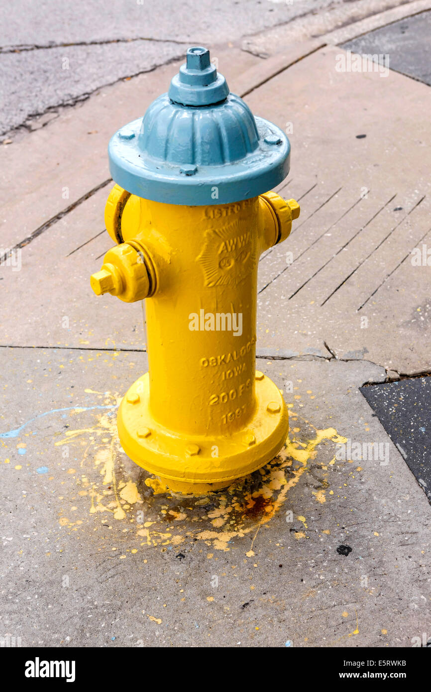 Jaune et bleu-gris d'incendie Banque D'Images