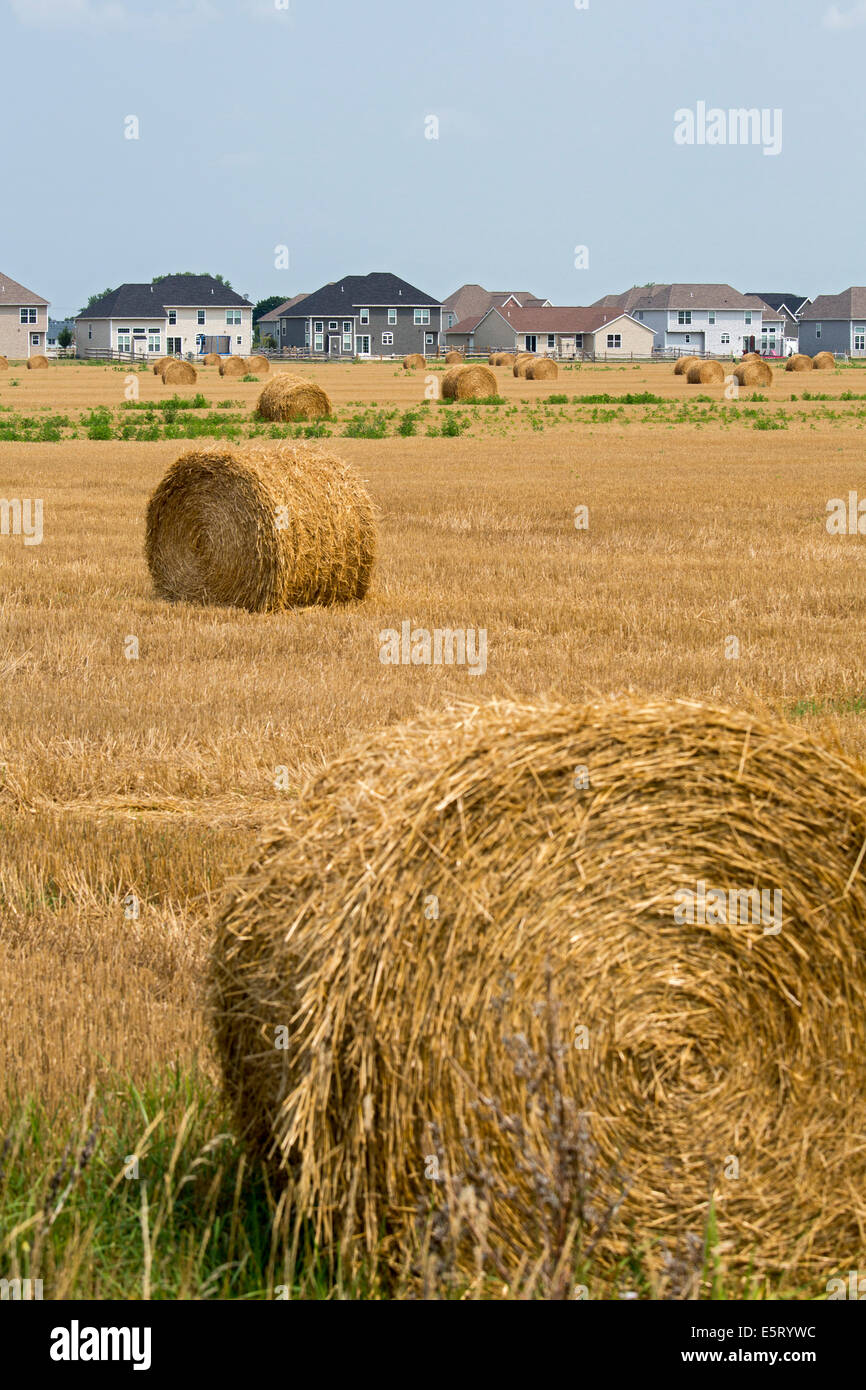 Perrysburg, Ohio - un nouveau développement suburbain empiète sur des terres agricoles près de Tolède. Banque D'Images
