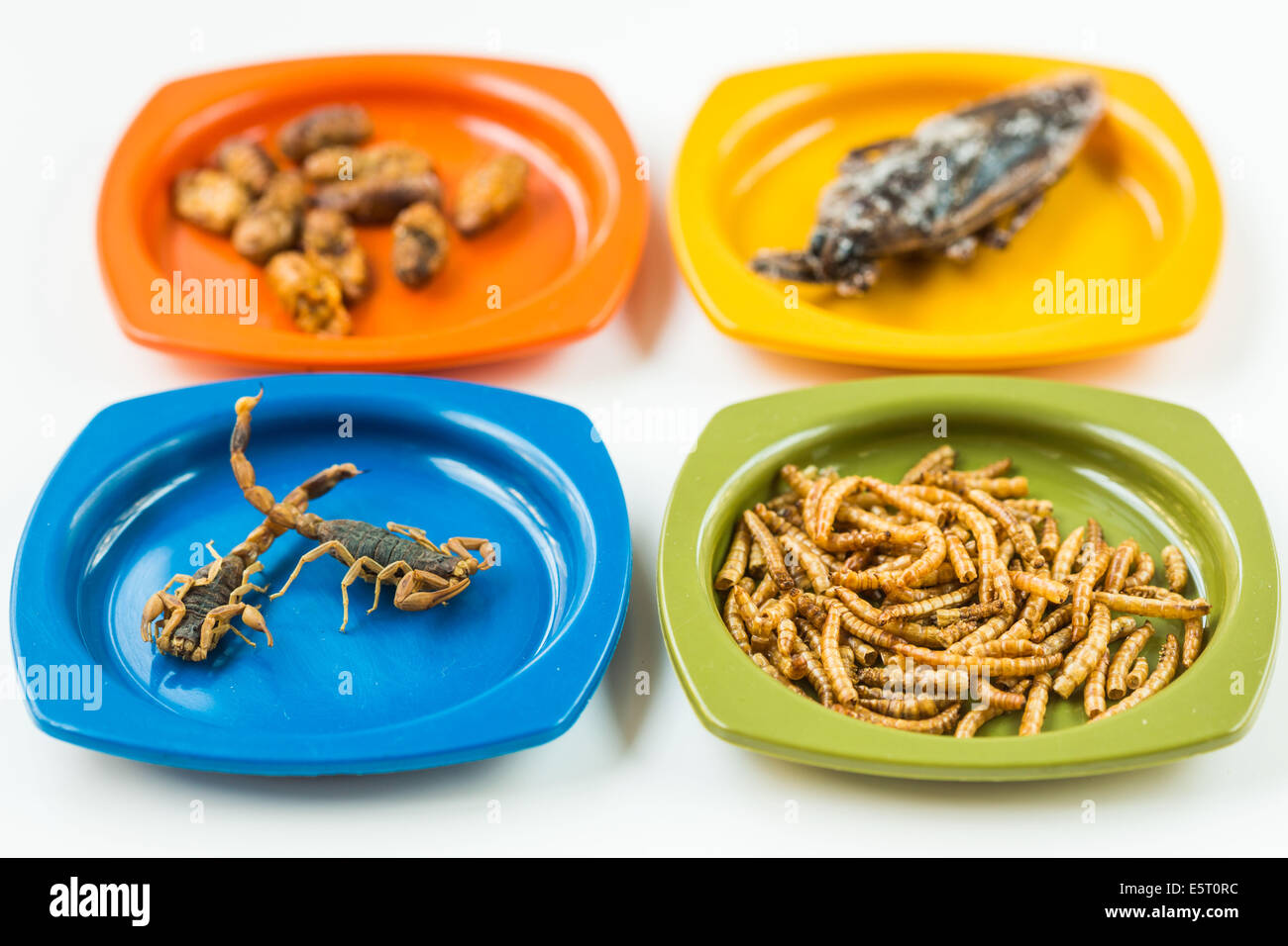 Insectes comestibles. Banque D'Images
