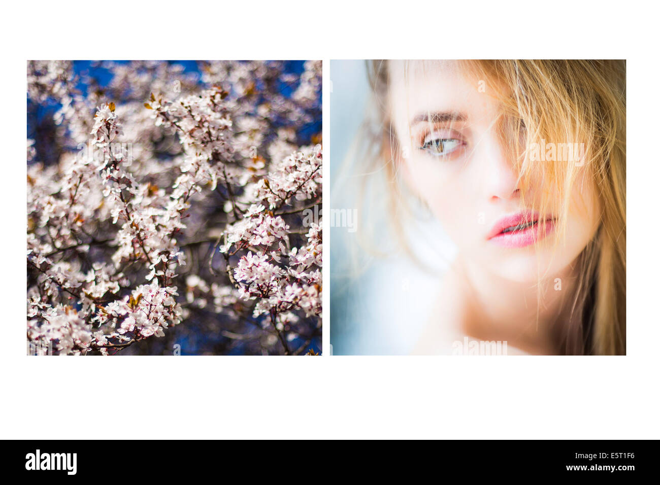 Image composite d'un arbre en fleurs et un portrait de femme. Banque D'Images