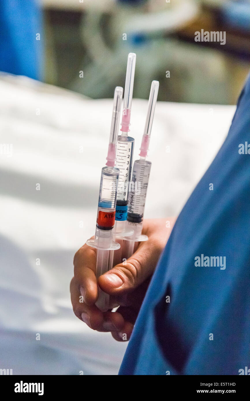 Les seringues remplies d'anesthésiques. Banque D'Images