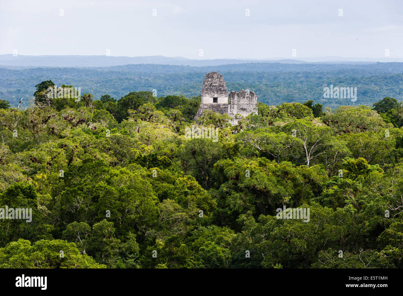 Les Temples I et II à Tikal, site archéologique maya, le Guatemala. Banque D'Images