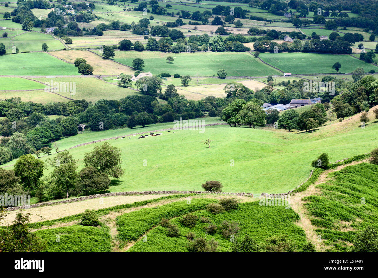 Nidderdale de Guise Falaise près de North Yorkshire Angleterre Campsites Canet-en-Roussillon Banque D'Images