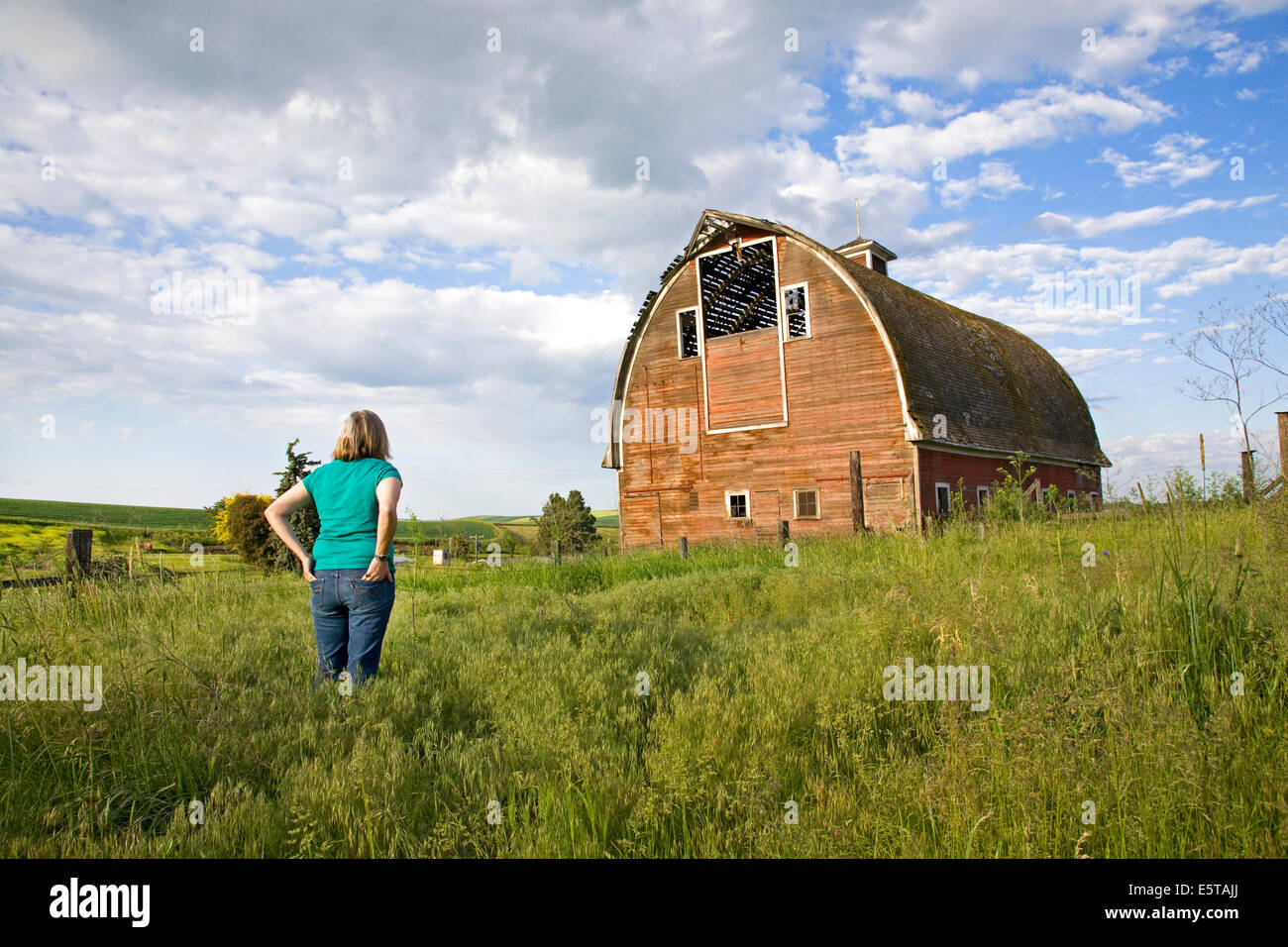 Une grange abandonnée dans la région de Empire Palouse à distance, une région d'agriculture et la culture du blé de collines et de larges skies dans l'Est de Washington. Banque D'Images