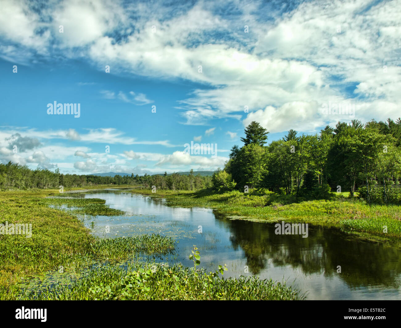 L'Adirondack State Park, à partir de la route 8 près de Oxbow Banque D'Images