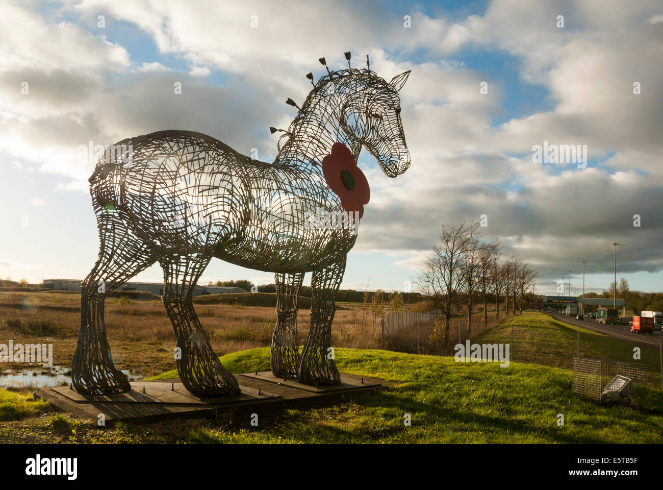 Andy Scott's Heavy Horse sculpture à l'autoroute M8 de porter un coquelicot à l'approche du Jour du Souvenir le 11 novembre. Banque D'Images