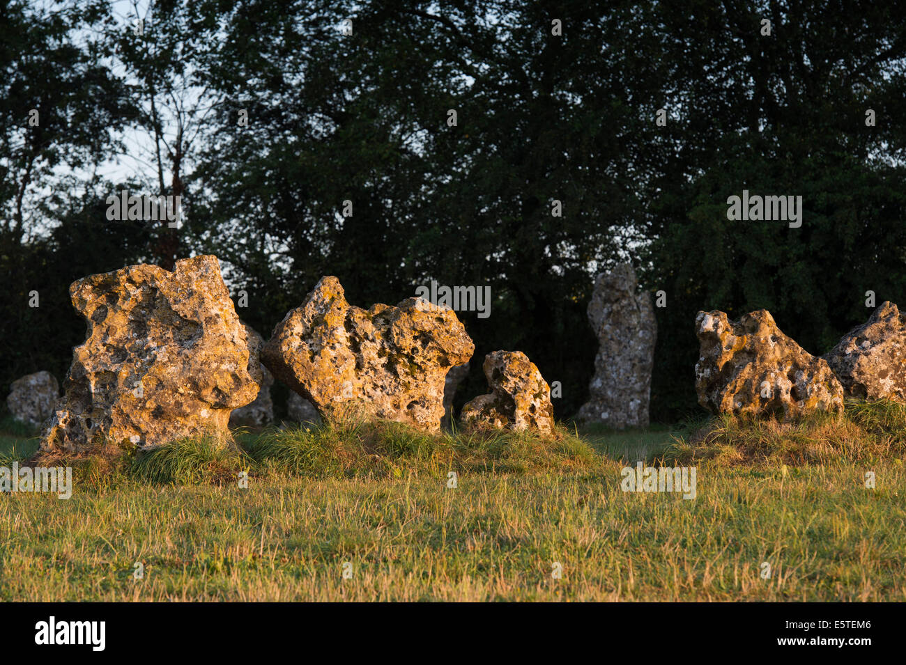 Le Rollright stones, Oxfordshire, Angleterre. Banque D'Images