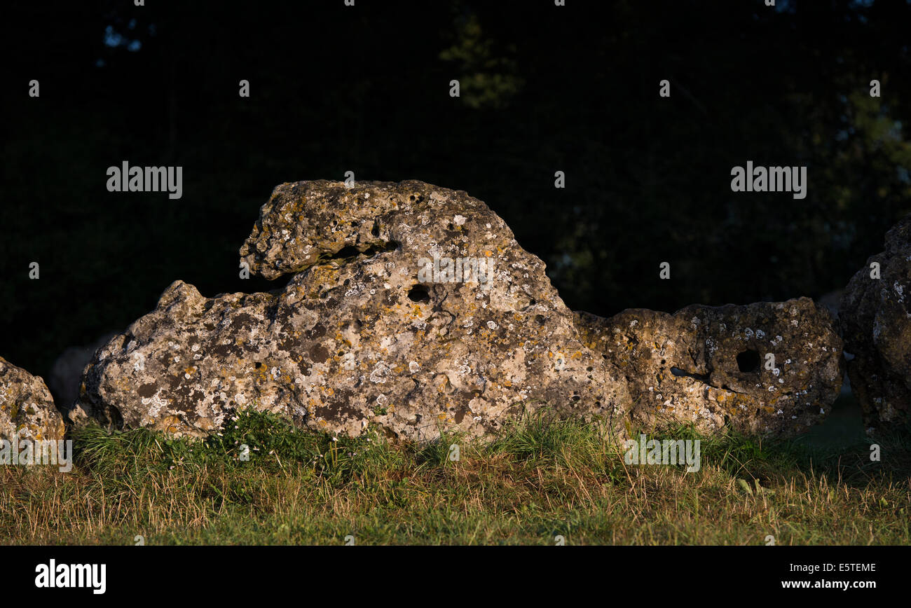 Le Rollright stones, Oxfordshire, Angleterre. Banque D'Images