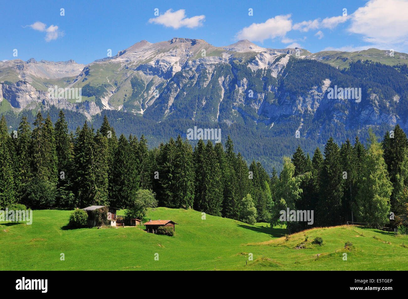 Prairie alpine avec hutte près de Flims, Canton des Grisons, Suisse Banque D'Images