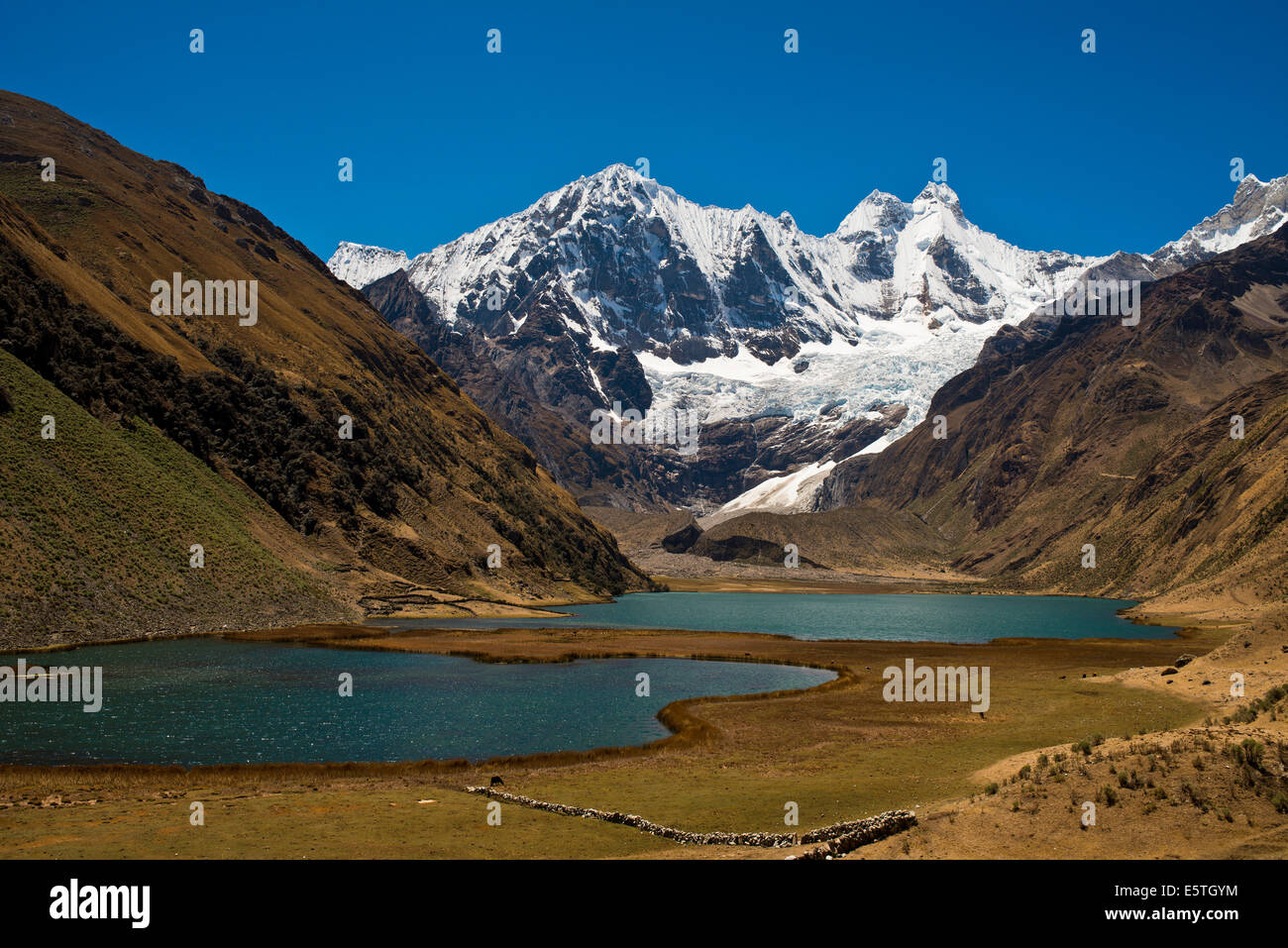 Les lagunas lacs de montagne à l'arrière, Jahuacocha Yerupaja Mt et d'autres montagnes enneigées, Cordillera Huayhuash mountain Banque D'Images