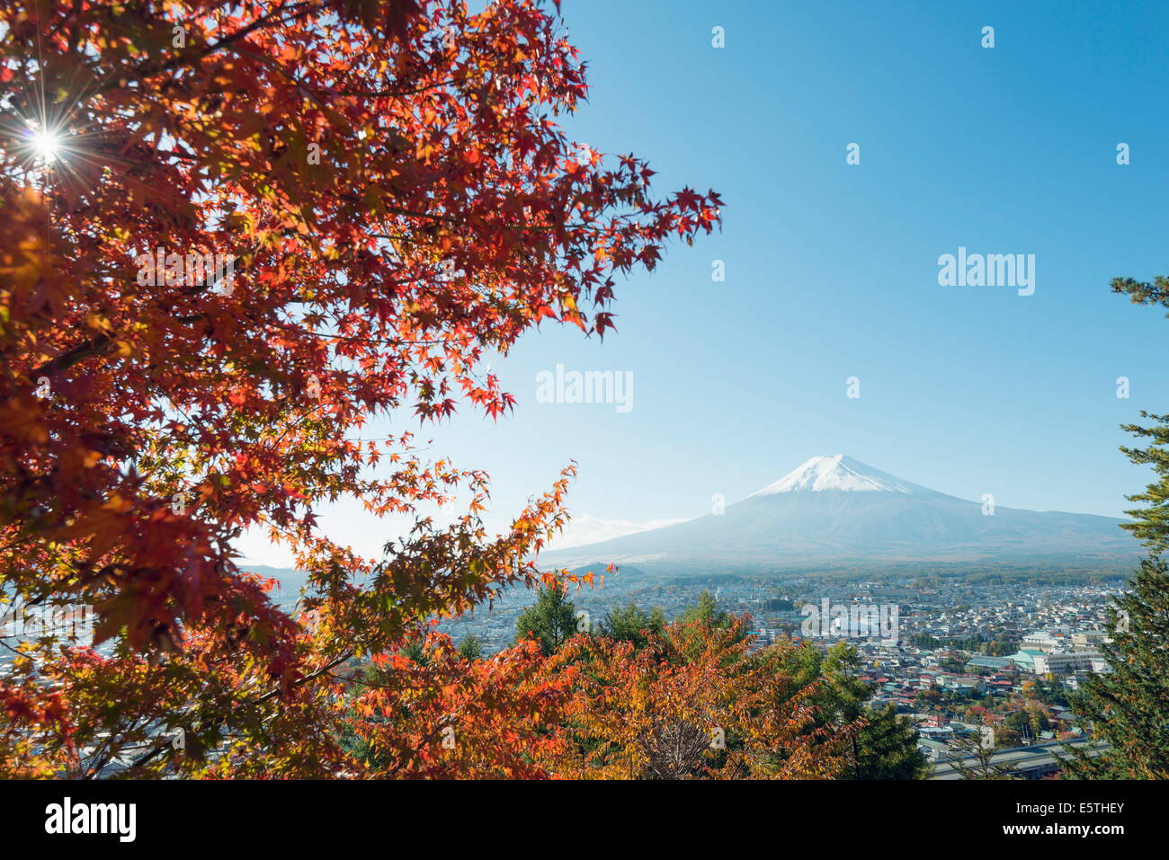 Le Mont Fuji, 3776m, UNESCO World Heritage Site, et couleurs d'automne, Honshu, Japon, Asie Banque D'Images