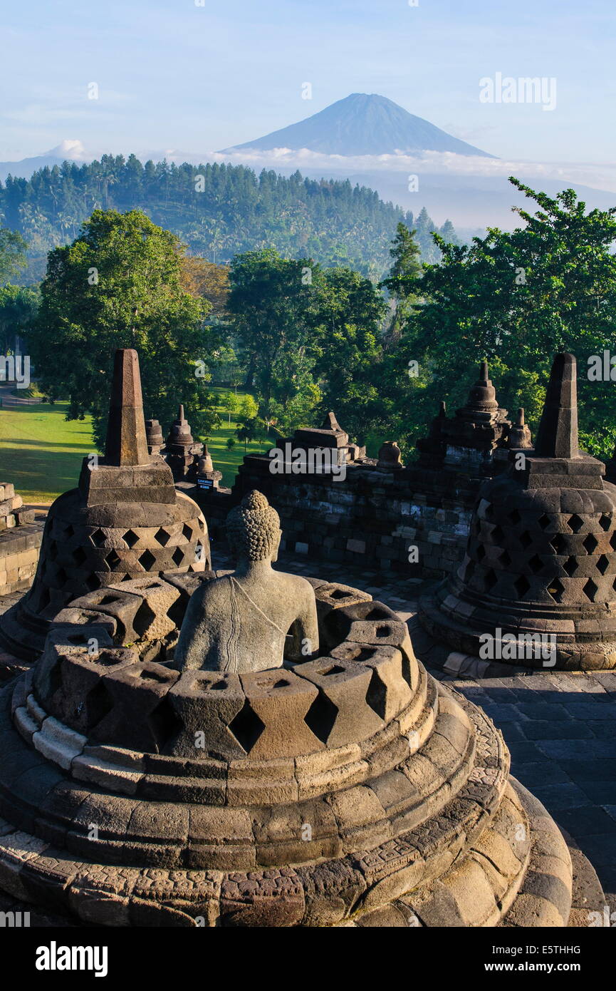 Tôt le matin, la lumière à l'stupas de l'ensemble du temple de Borobodur, Site de l'UNESCO, Java, Indonésie, Asie du Sud, Asie Banque D'Images