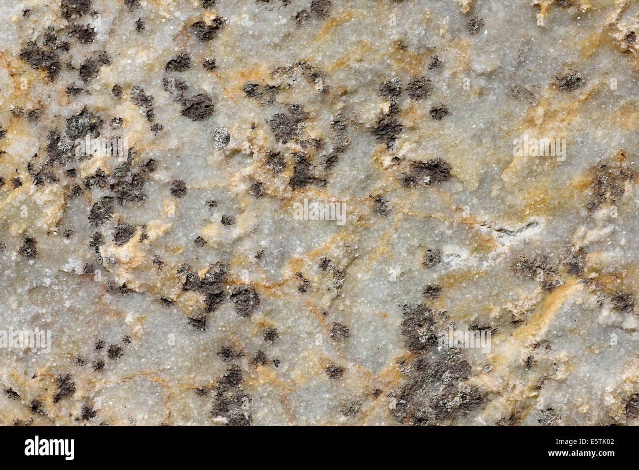 La texture de roche de quartzite Banque D'Images