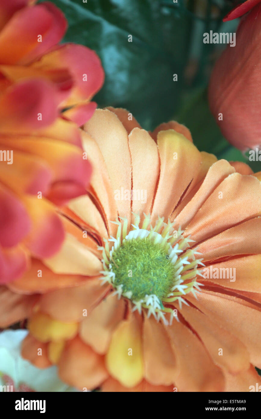 Des fleurs orange avec un tissu pour la conception et la décoration. Banque D'Images Des fleurs orange avec un tissu pour la conception et la décoration. Banque D'Images