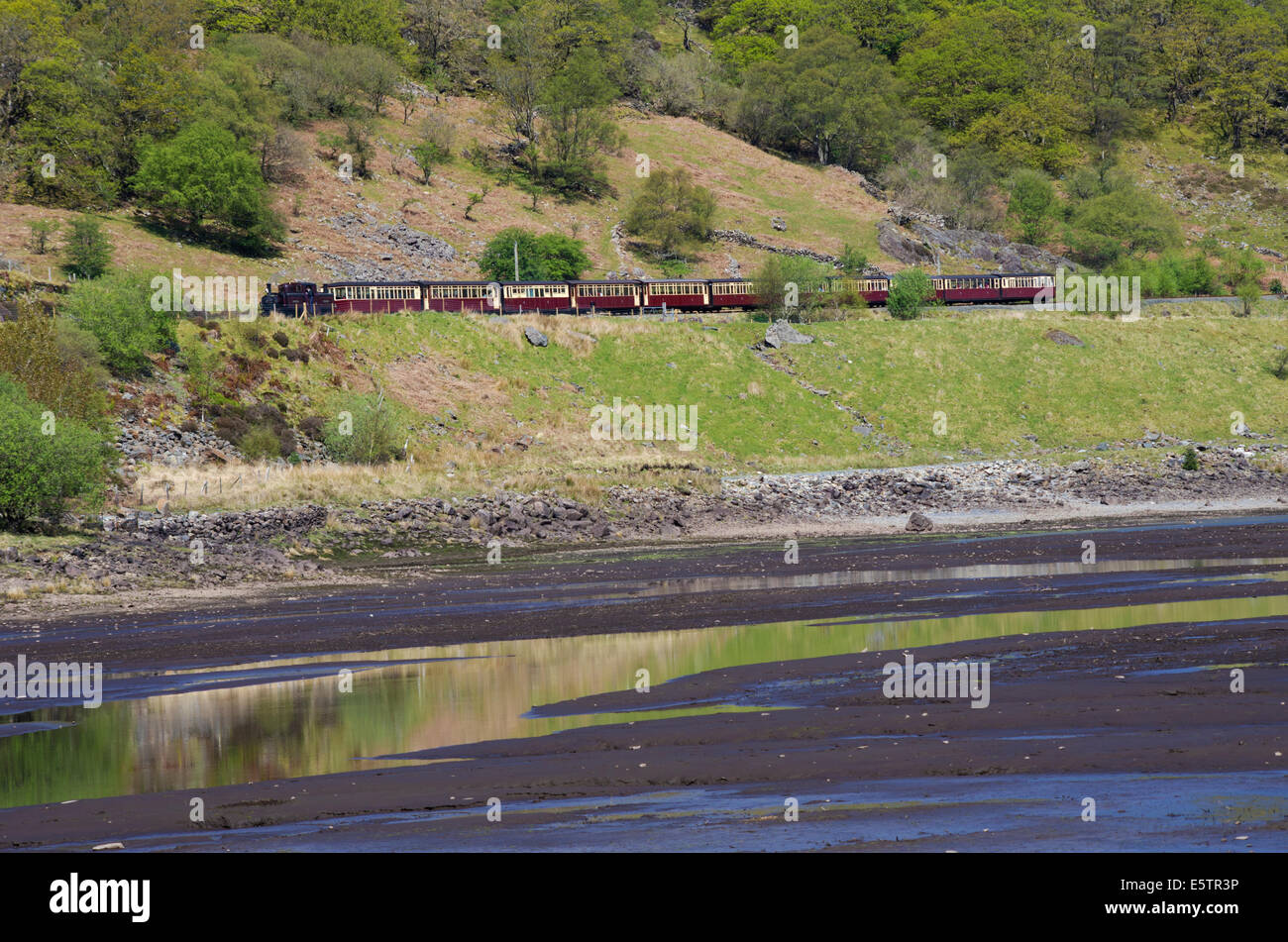 Ffestiniog et Welsh Highland Railway locomotive à vapeur à Tanygrisiau, Snowdonia, Gwynedd, au nord du Pays de Galles Banque D'Images